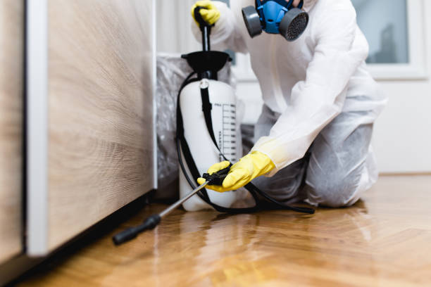 Best Mosquito Control Services  in Ocean City, NJ
