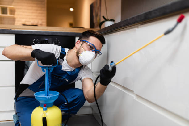 Best Pest Removal Services  in Ocean City, NJ
