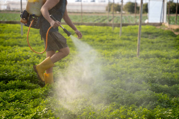 Best Best Pest Control Companies  in Ocean City, NJ