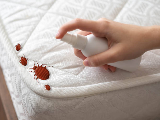 Best Local Pest Control Services  in Ocean City, NJ