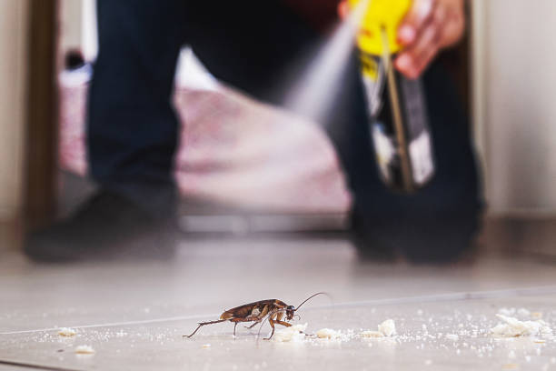 Trusted Ocean City, NJ Pest Control Experts